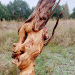 Leśny Duch - rzeźba